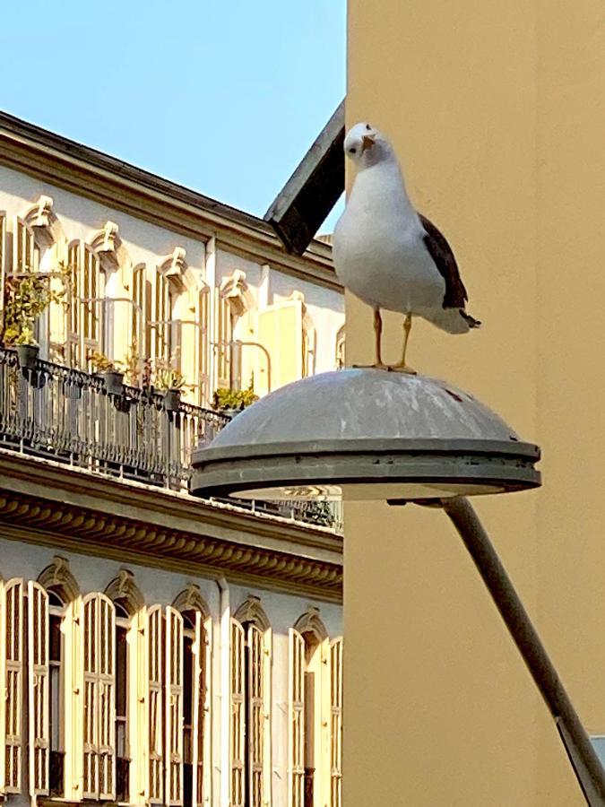 2 Bedroom - Hyper Center - Kitchen - Tramway - Balcony - Air Conditioner - Wifi Nice Exterior photo